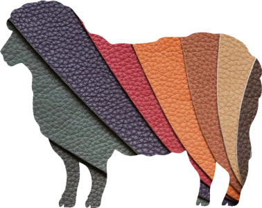 Sheep-Shape-2